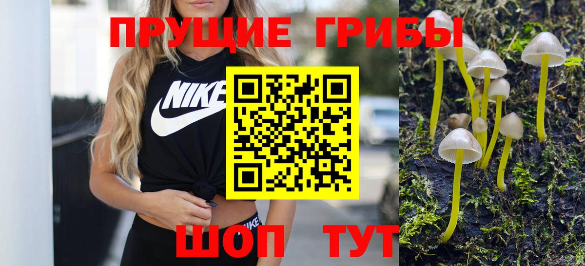 Галлюциногенные грибы ЛСД  Вход с VPN  Галлюциногенные грибы MAGIC MUSHROOMS  Отрадный 